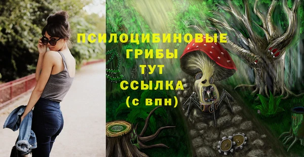 COCAINE Бородино