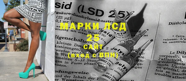 гашик Семилуки