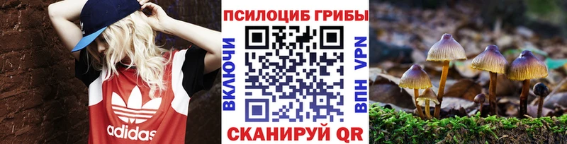 Псилоцибиновые грибы ЛСД наркотики Северобайкальск